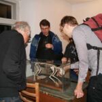 36th IWS Ambience 36th IWS Ambience