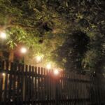 34th IWS Ambience 34th IWS Ambience