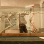 33rd IWS Ambience (c) Rebecca Gnüchtel 33rd IWS Ambience (c) Rebecca Gnüchtel