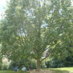 33rd IWS Ambience (c) Gerti Perlaki 33rd IWS Ambience (c) Gerti Perlaki