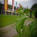 35th IWS Ambience (c) Jon Keyzer 35th IWS Ambience (c) Jon Keyzer